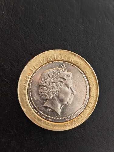 Fired egg pound coin huge - 2,