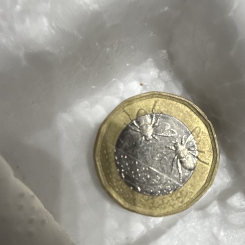 Rare coin