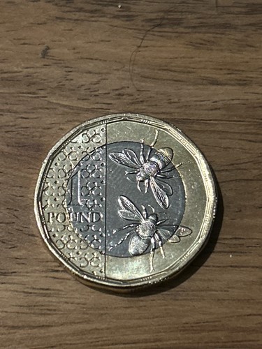 King charles bees coin - king, £1