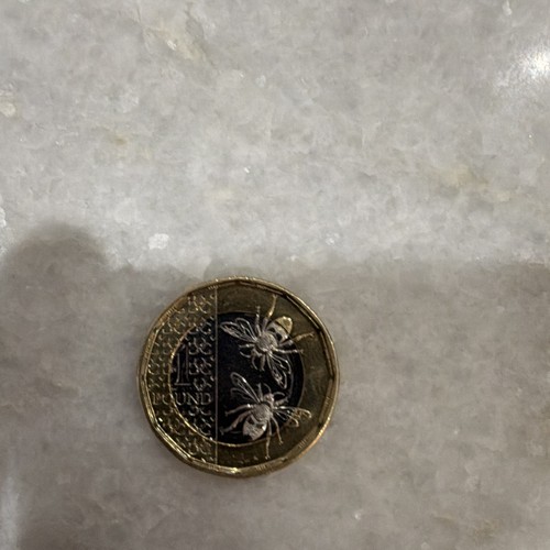 2025 one pound coin - coin,