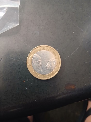 Rare quality 1pound coin - rare,