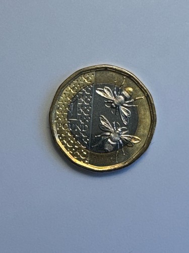 Rare 2025 great - rare, king