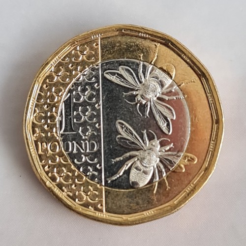 King charles iii bee - 2025, rare