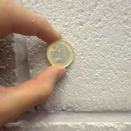 British pound rare bee - british, 1